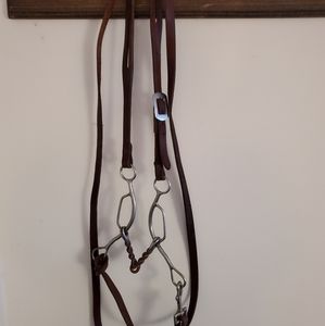 Horse bridle, gag bit and reins